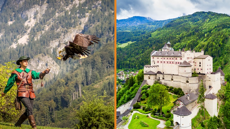 Udflugt 2: rneborgen med falkonershow (inkl. frokost)